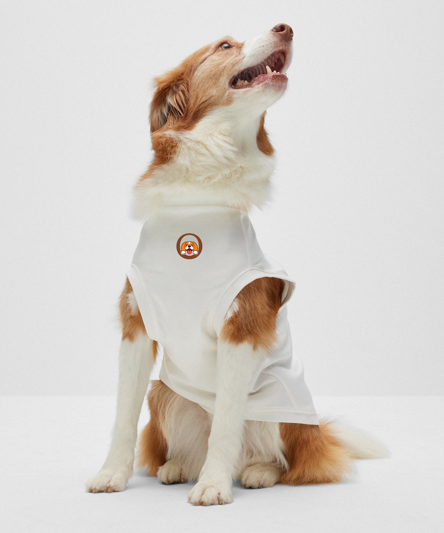 Chinqooper White Dog vest