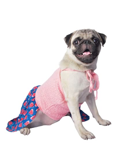 Chinqooper Watermelon themed Dog Dress