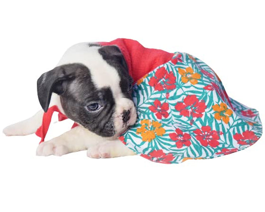 Chinqooper Floral cute red dog dress