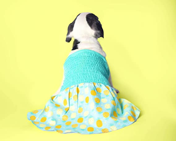 Pineapple Printed Dog Dress