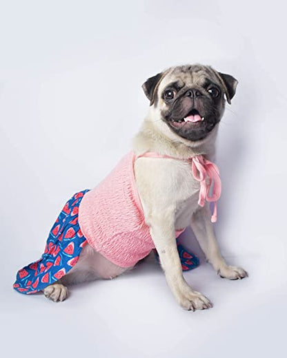 Chinqooper Watermelon themed Dog Dress