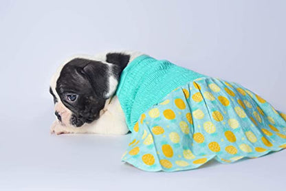 Pineapple Printed Dog Dress