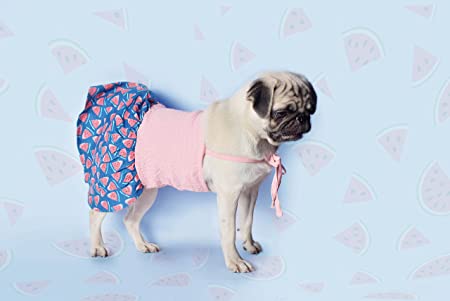 Chinqooper Watermelon themed Dog Dress